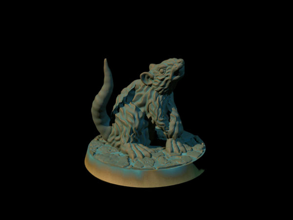 Giant Rat 1