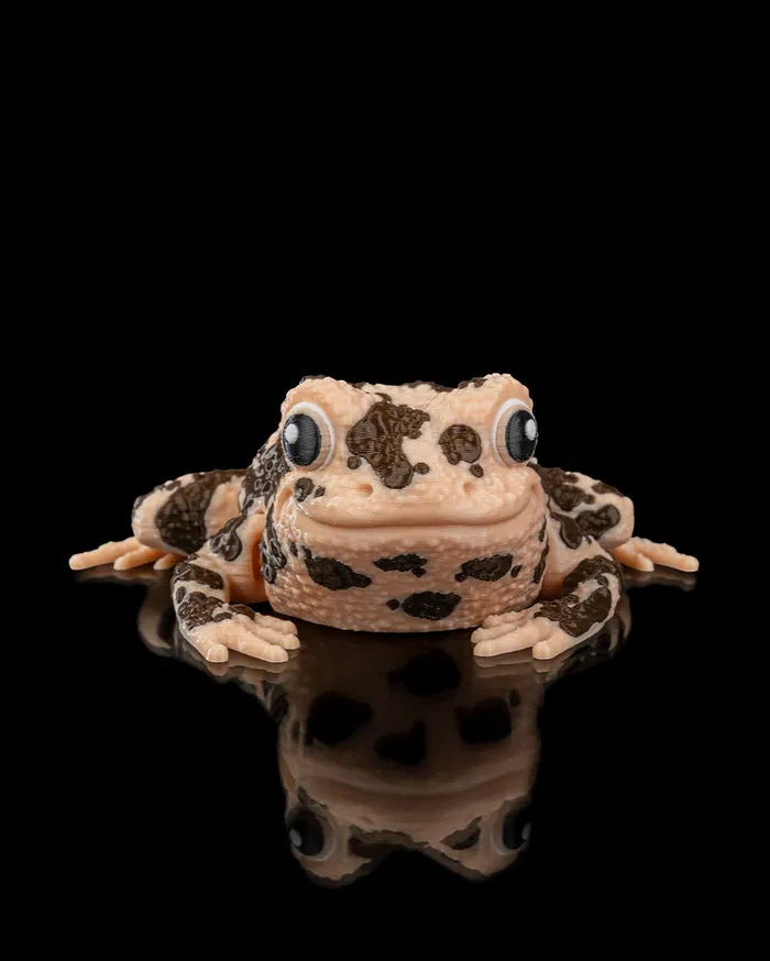 Grace, the American Ground Frog