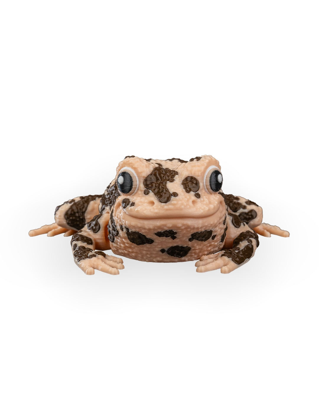 Grace The American Ground Frog