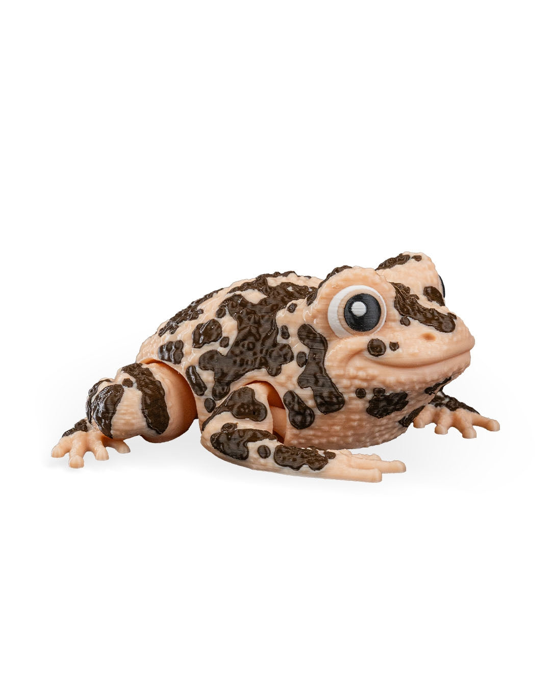 Grace The American Ground Frog