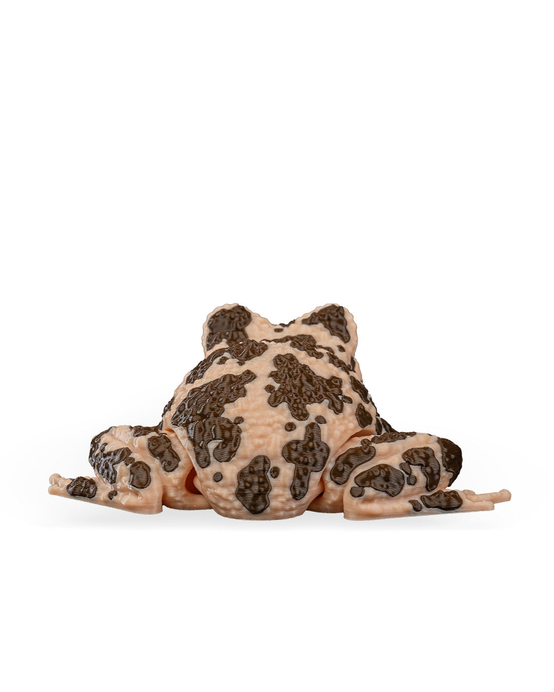 Grace The American Ground Frog