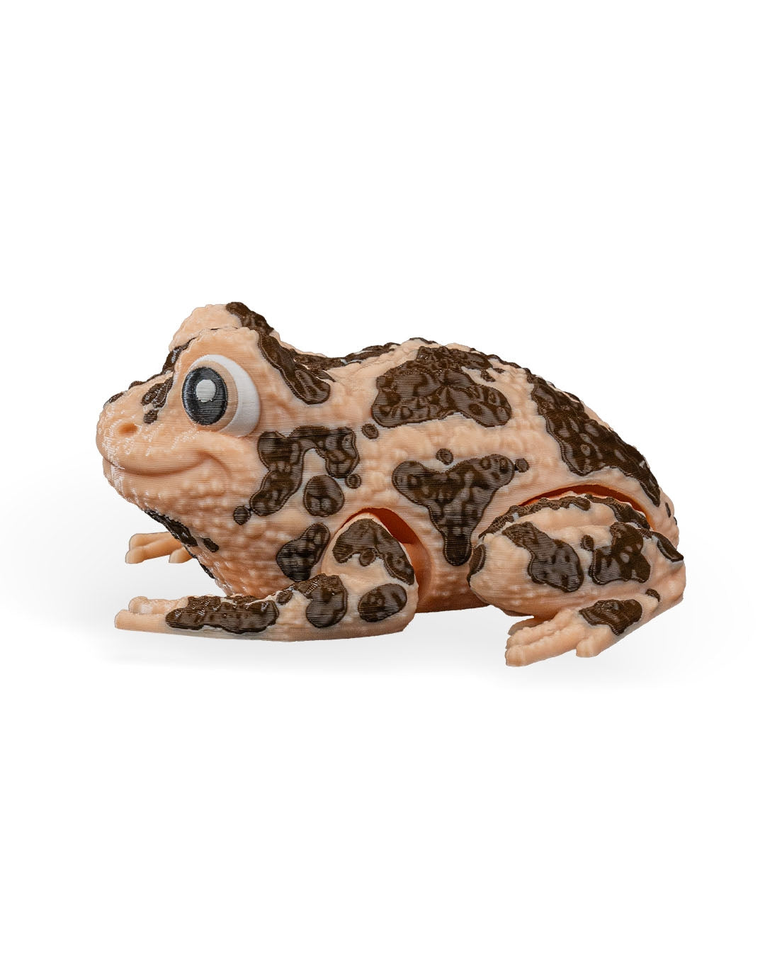 Grace The American Ground Frog