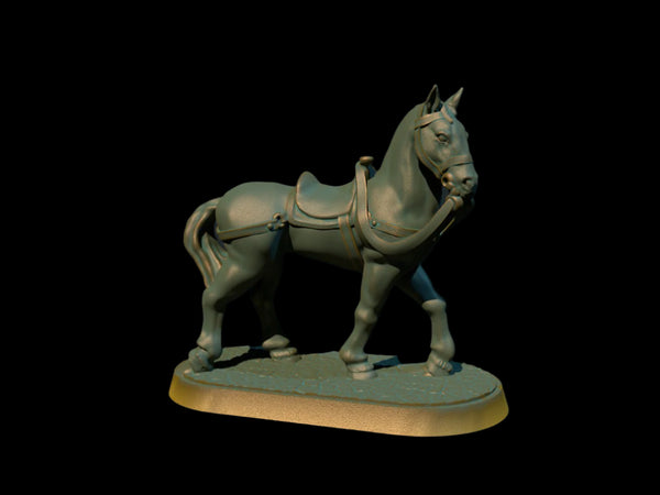 Horse 2