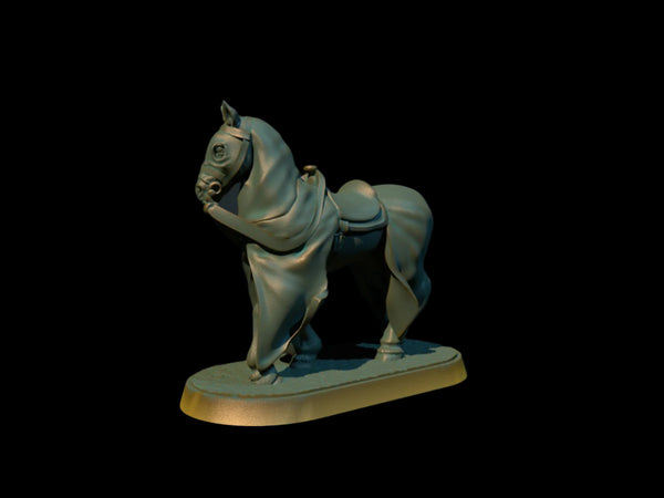Horse 2 Caparison