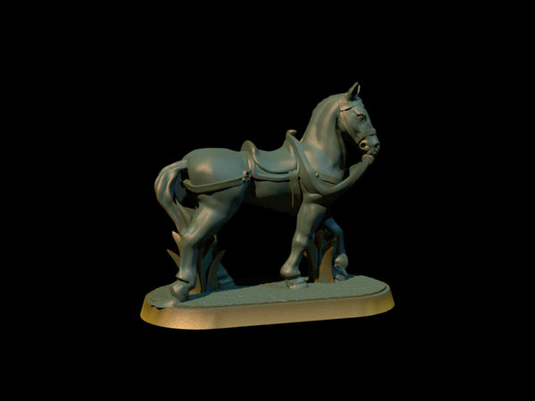 Horse 2 Grass