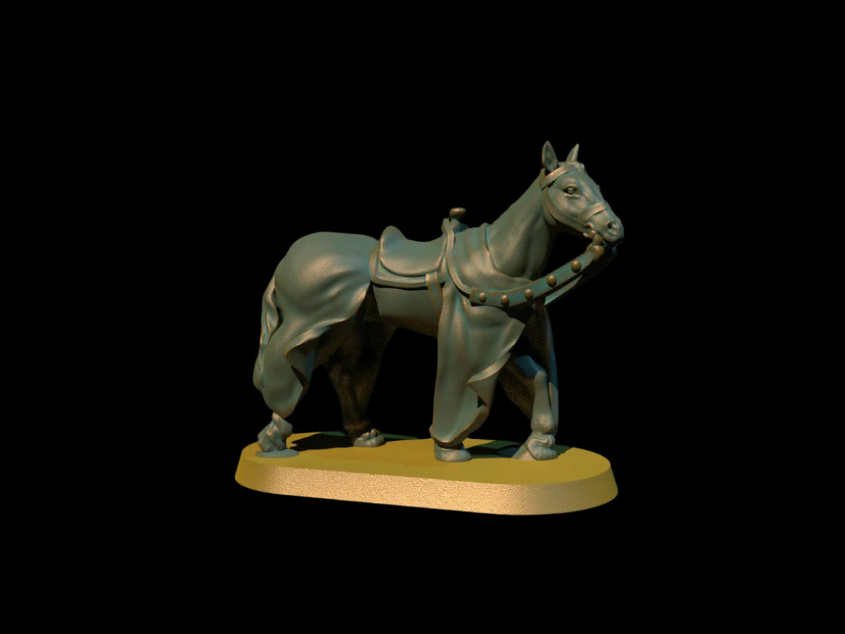 Horse Caparison