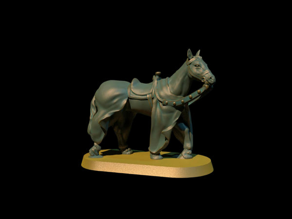 Horse Caparison