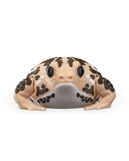Humphrey The Rain Frog