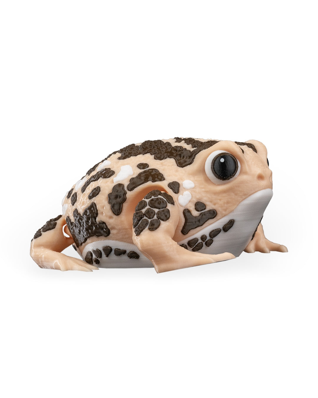 Humphrey The Rain Frog
