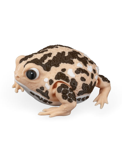 Humphrey The Rain Frog