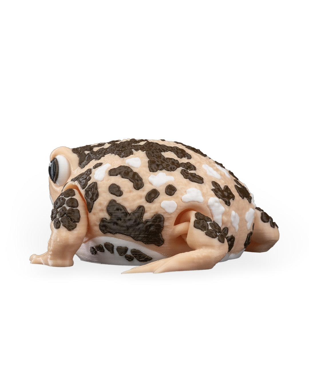 Humphrey The Rain Frog