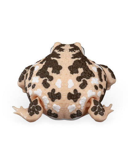 Humphrey The Rain Frog