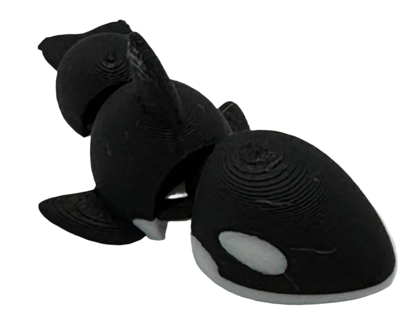 A textured, black and white 3D-printed orca model stands on a black background. It is segmented, with two connected body sections.