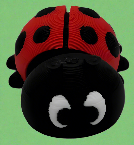 Baby Ladybird