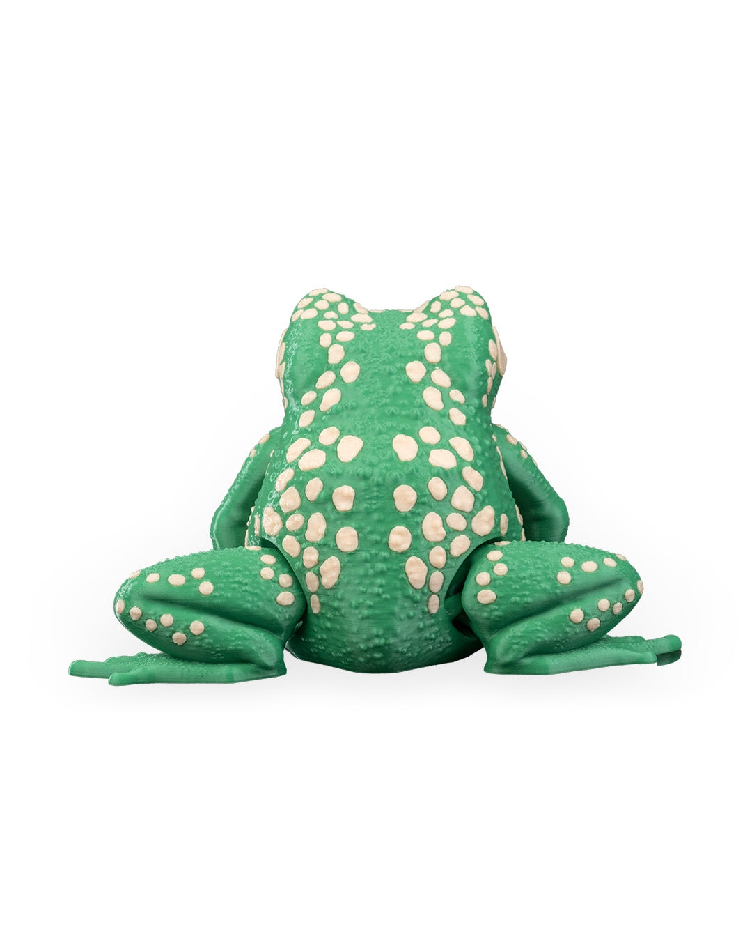 Kate the Cane Toad