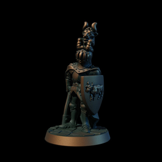 Full Armour Knight