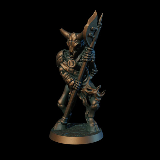 Minotaur Skeleton
