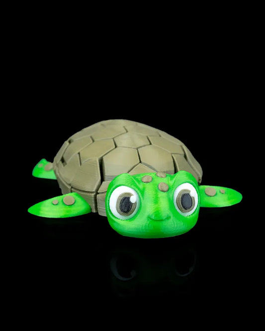 Myrtle, the Turtle