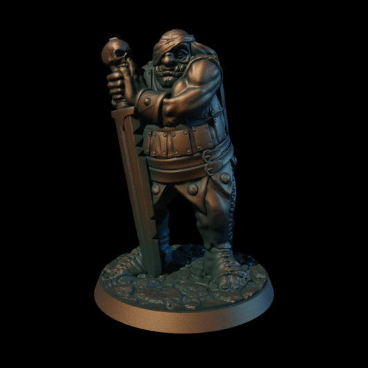 Ogre Mercenary