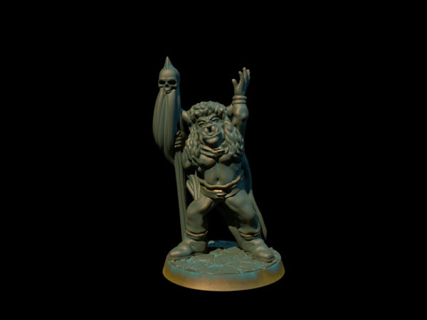 Orc Shaman