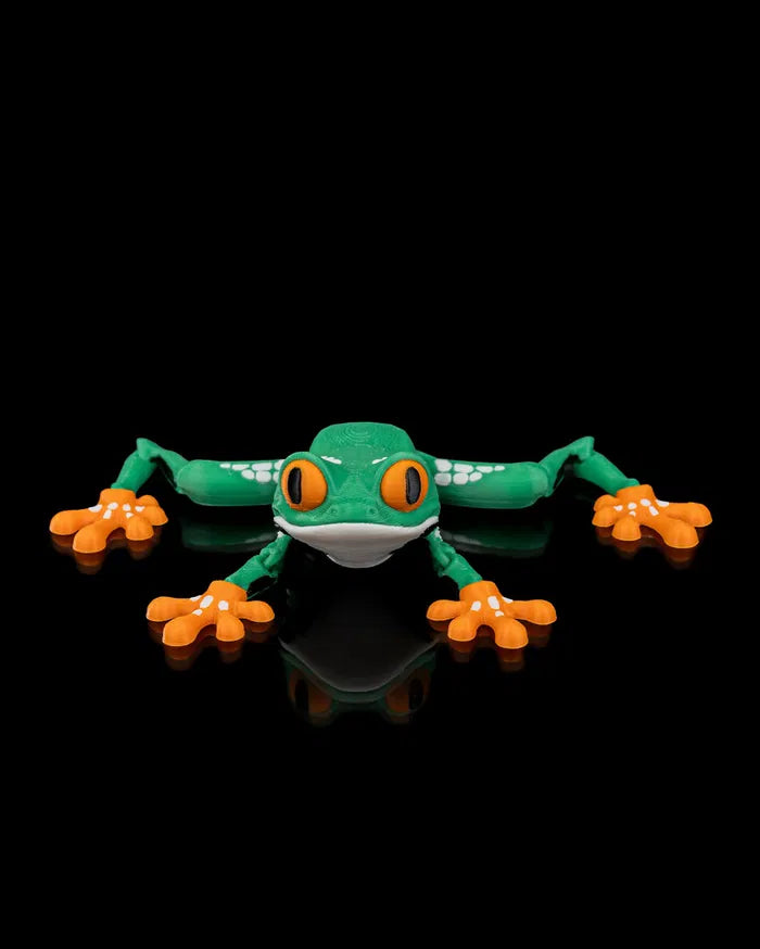 Reed, The Red Eyed Tree Frog