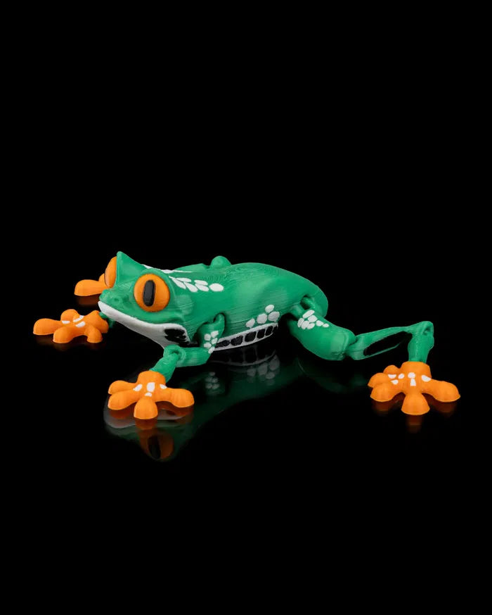 Reed, The Red Eyed Tree Frog