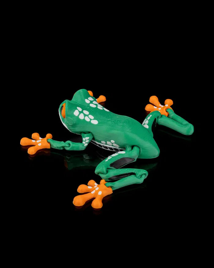 Reed, The Red Eyed Tree Frog