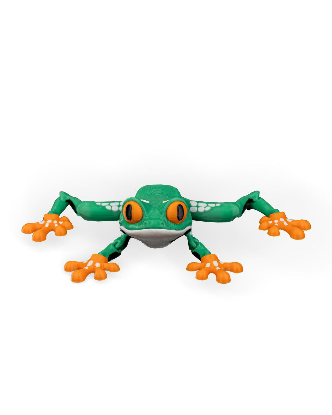 Reed the Red Eyed Tree Frog