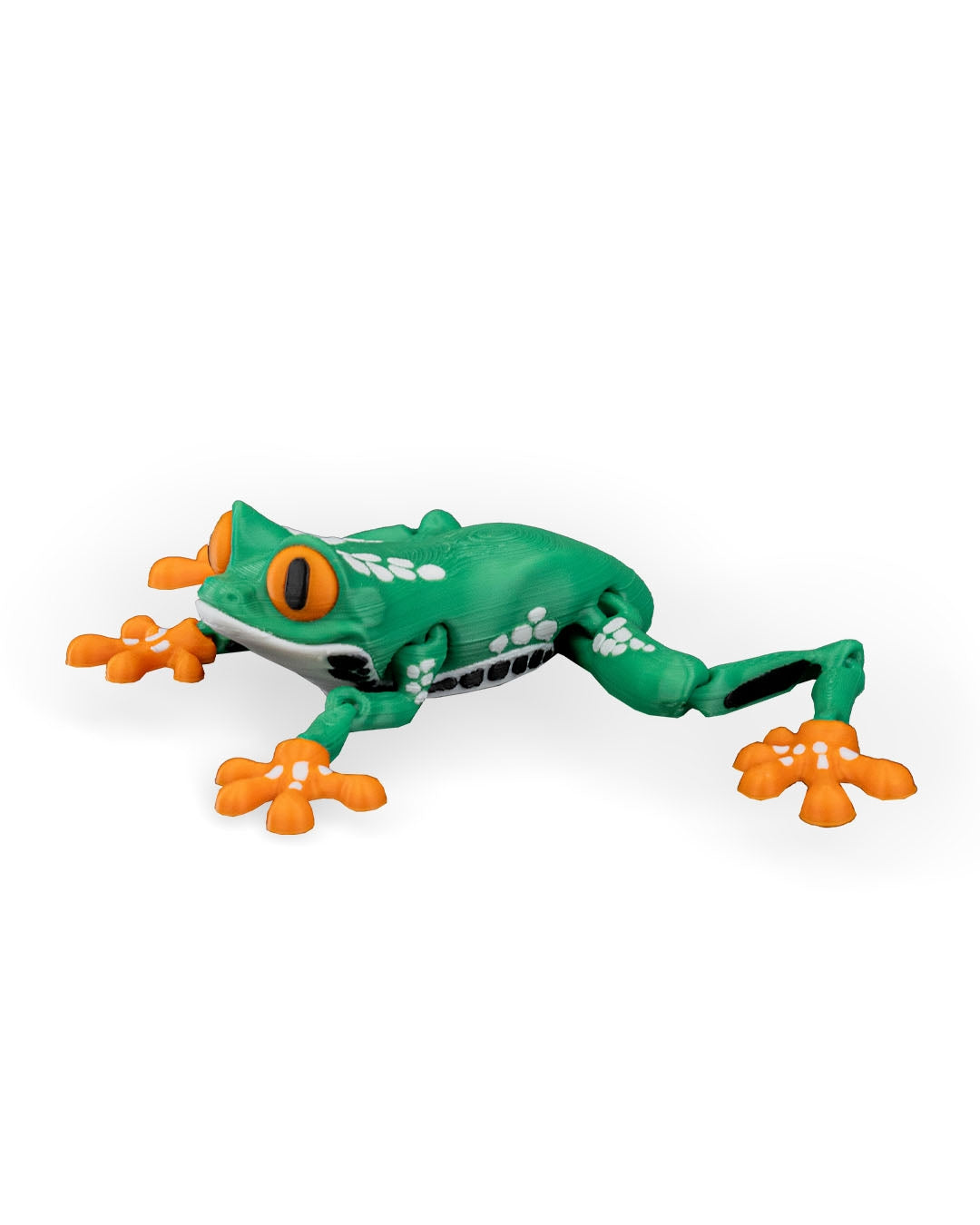 Reed the Red Eyed Tree Frog