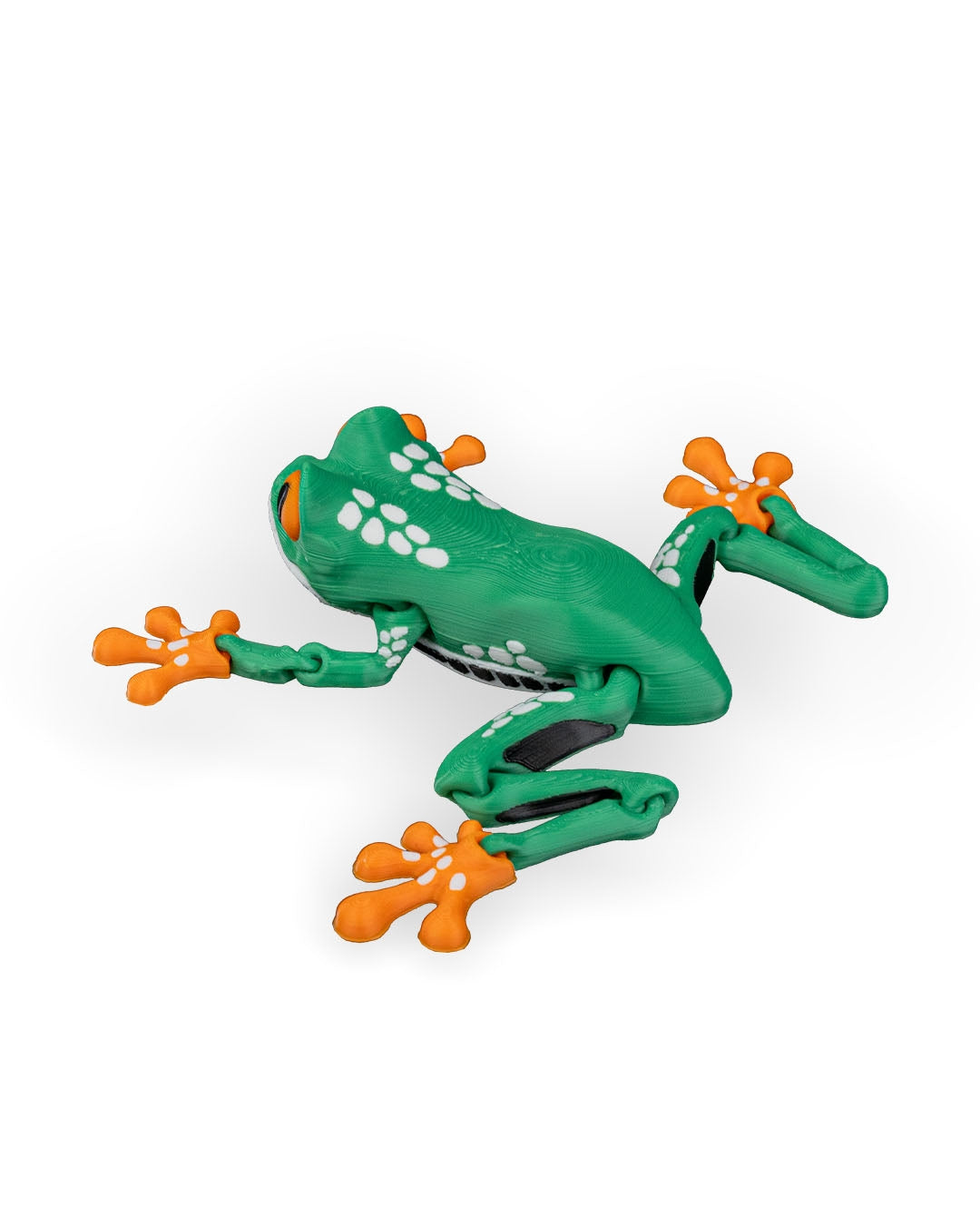 Reed the Red Eyed Tree Frog
