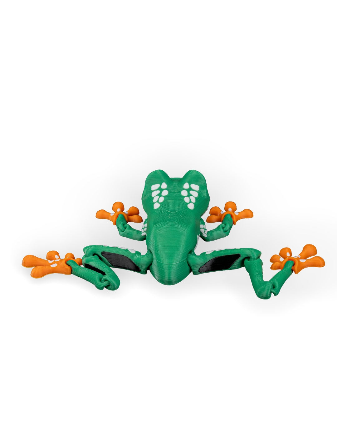 Reed the Red Eyed Tree Frog