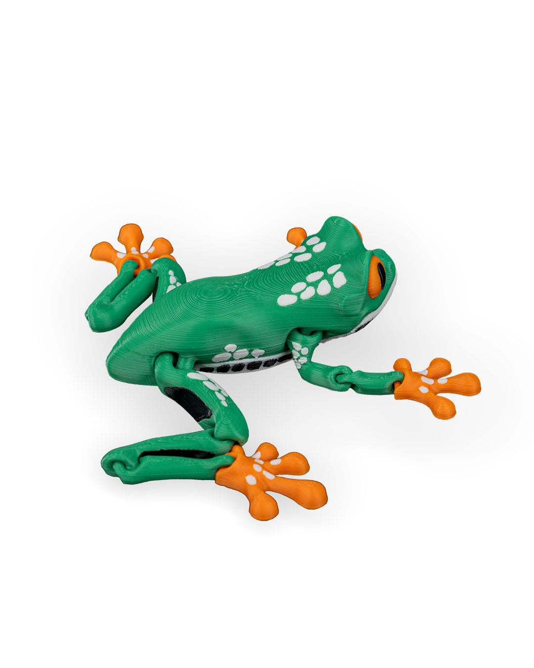 Reed the Red Eyed Tree Frog