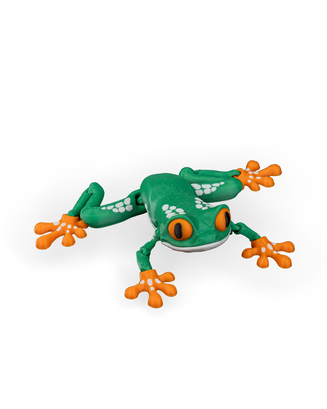 Reed the Red Eyed Tree Frog