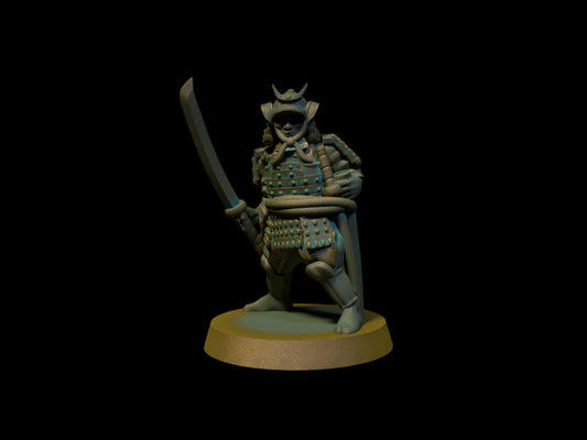 Samurai Armor 2