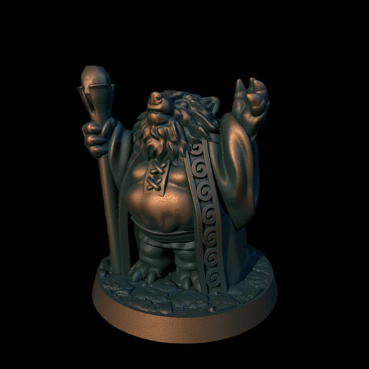 Tanuki Wizard