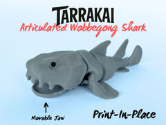 Tarrakai The Wobbegong Shark