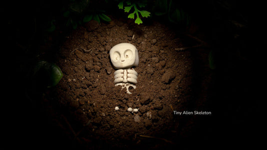 Tiny Alien Skeleton