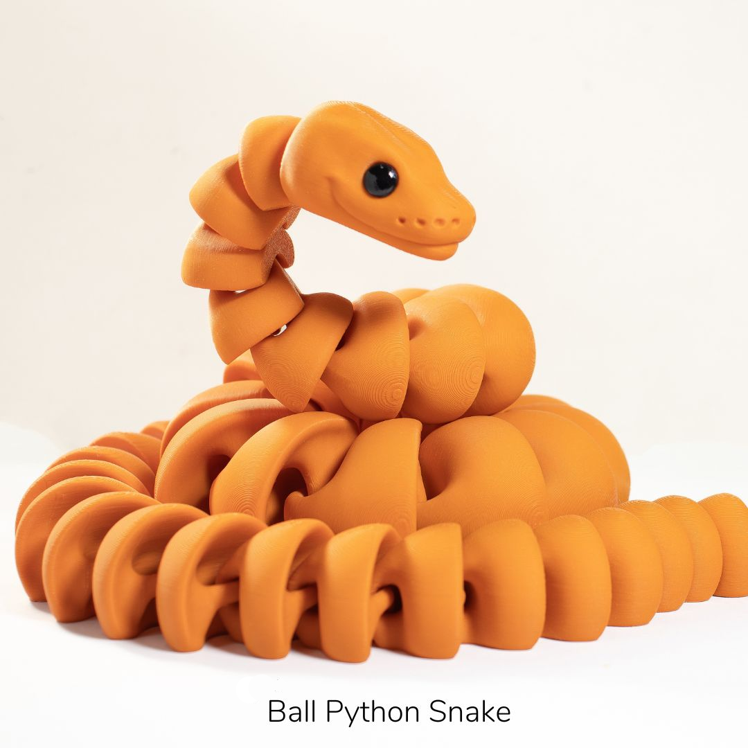 Ball Python Snake