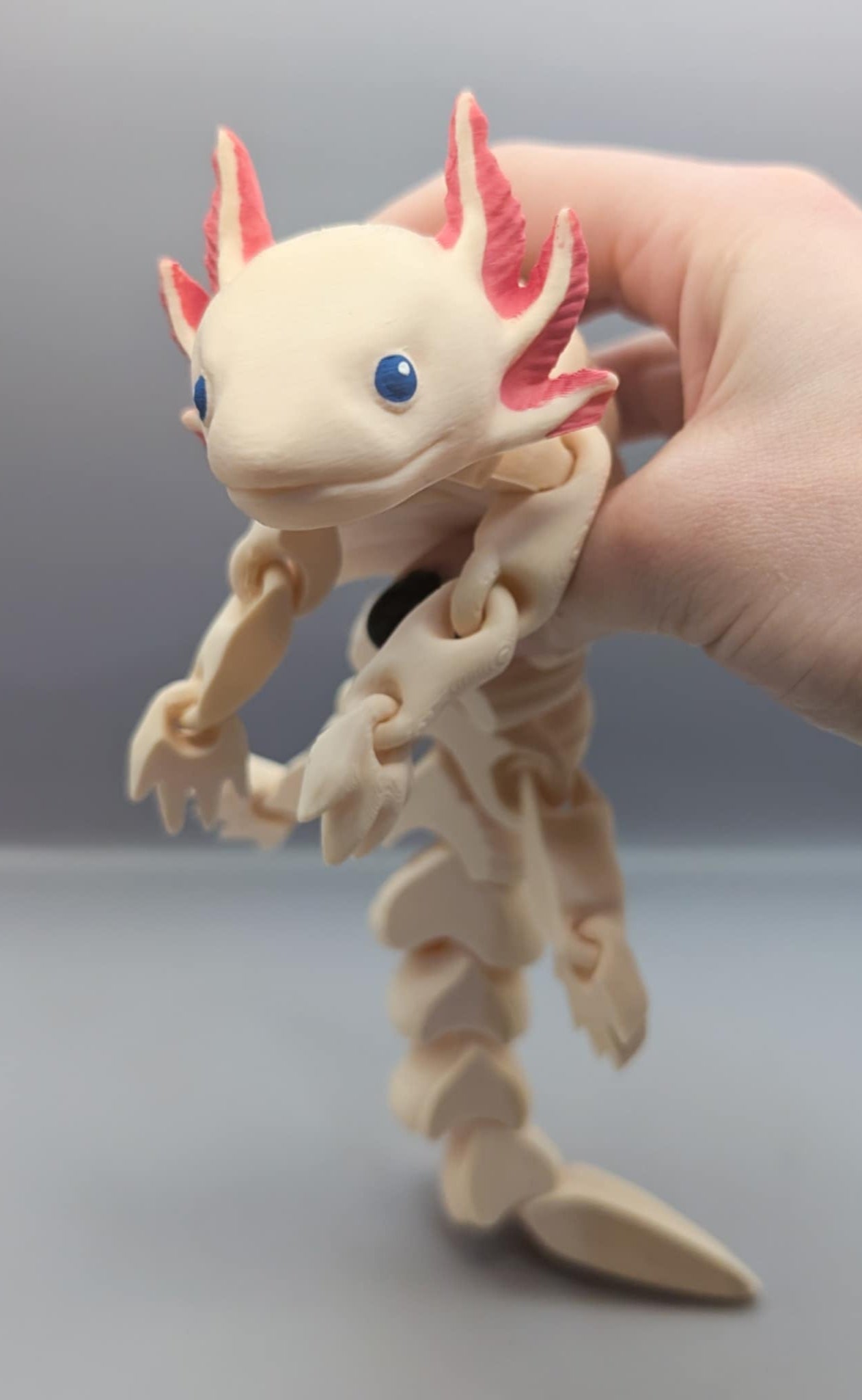 FLEXI Axolotl