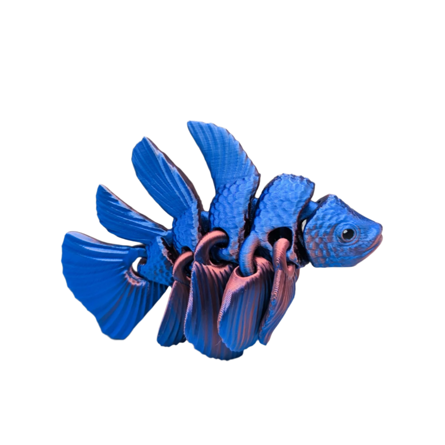 FLEXI Beta Fish