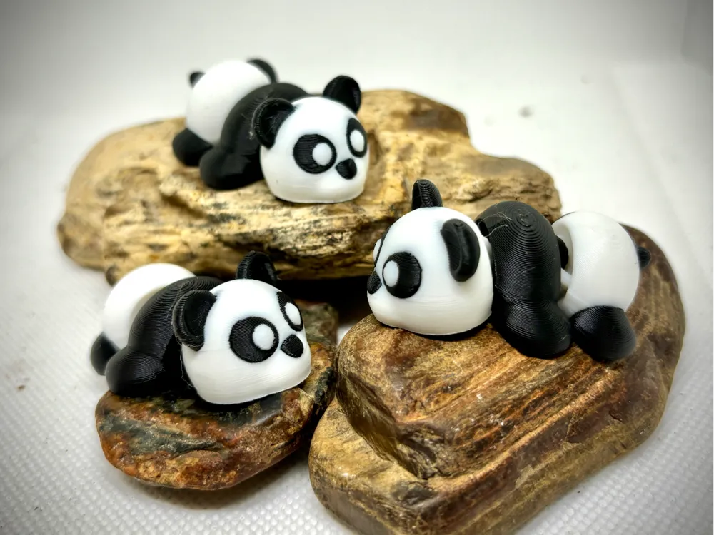 Baby Panda