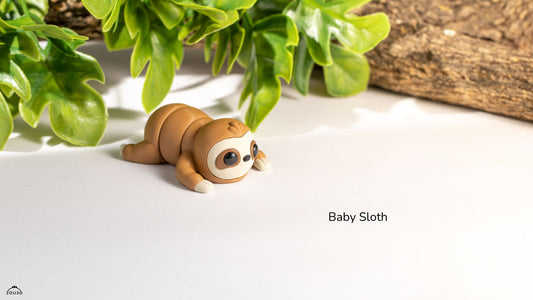 Baby Sloth