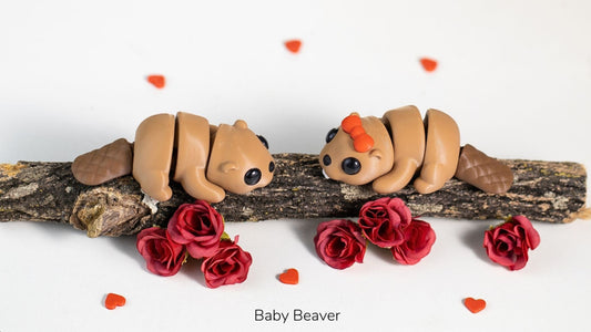 Baby Beaver