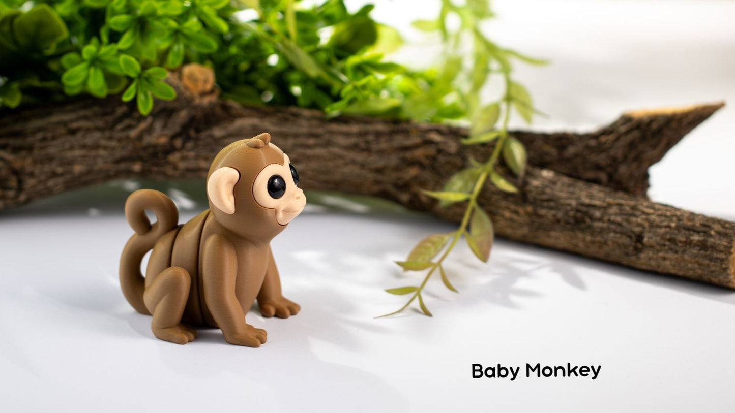 Baby Monkey