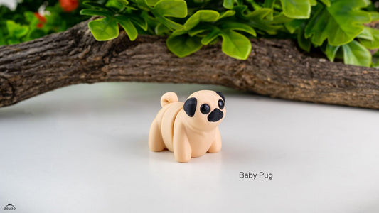 Baby Pug