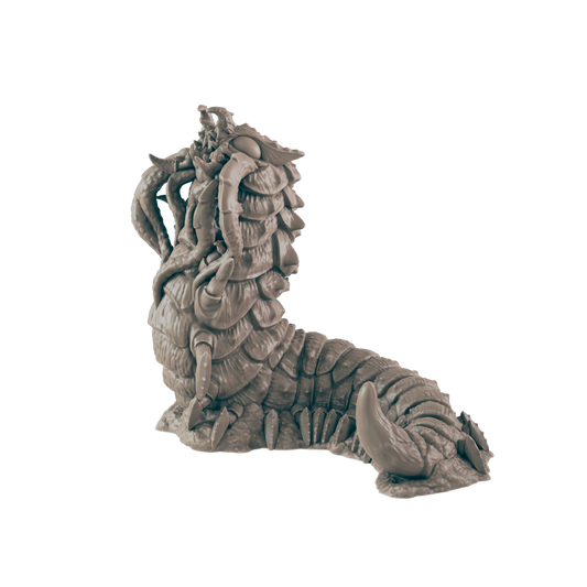 A segmented worm monster with tentacles and claws raises its head. The creature rests on a rocky surface against a dark blue background.