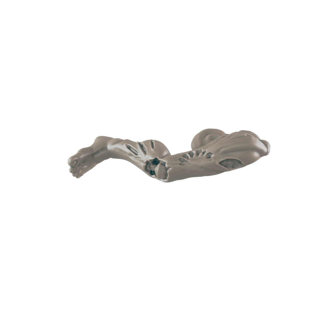 A skeletal animal head lies in a black space. The head is made of a pale, opaque material.