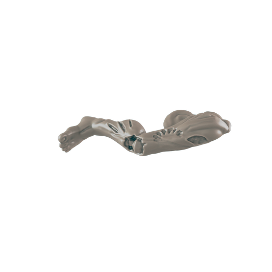 A skeletal animal head lies in a black space. The head is made of a pale, opaque material.