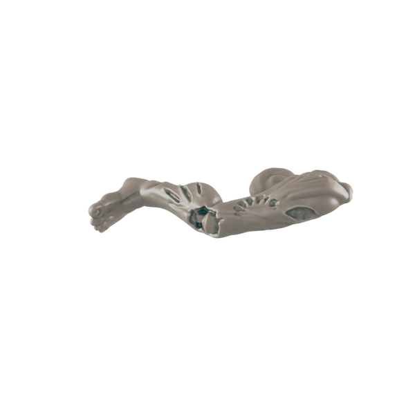Corpse Leg