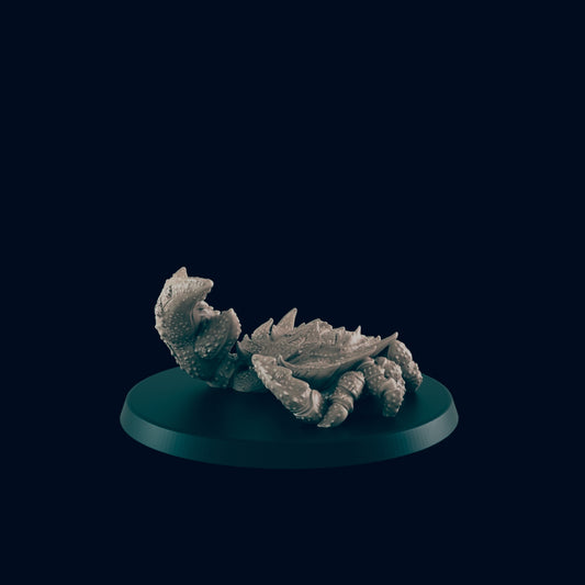 A miniature crab-like creature rests on a dark circular base against a black background.